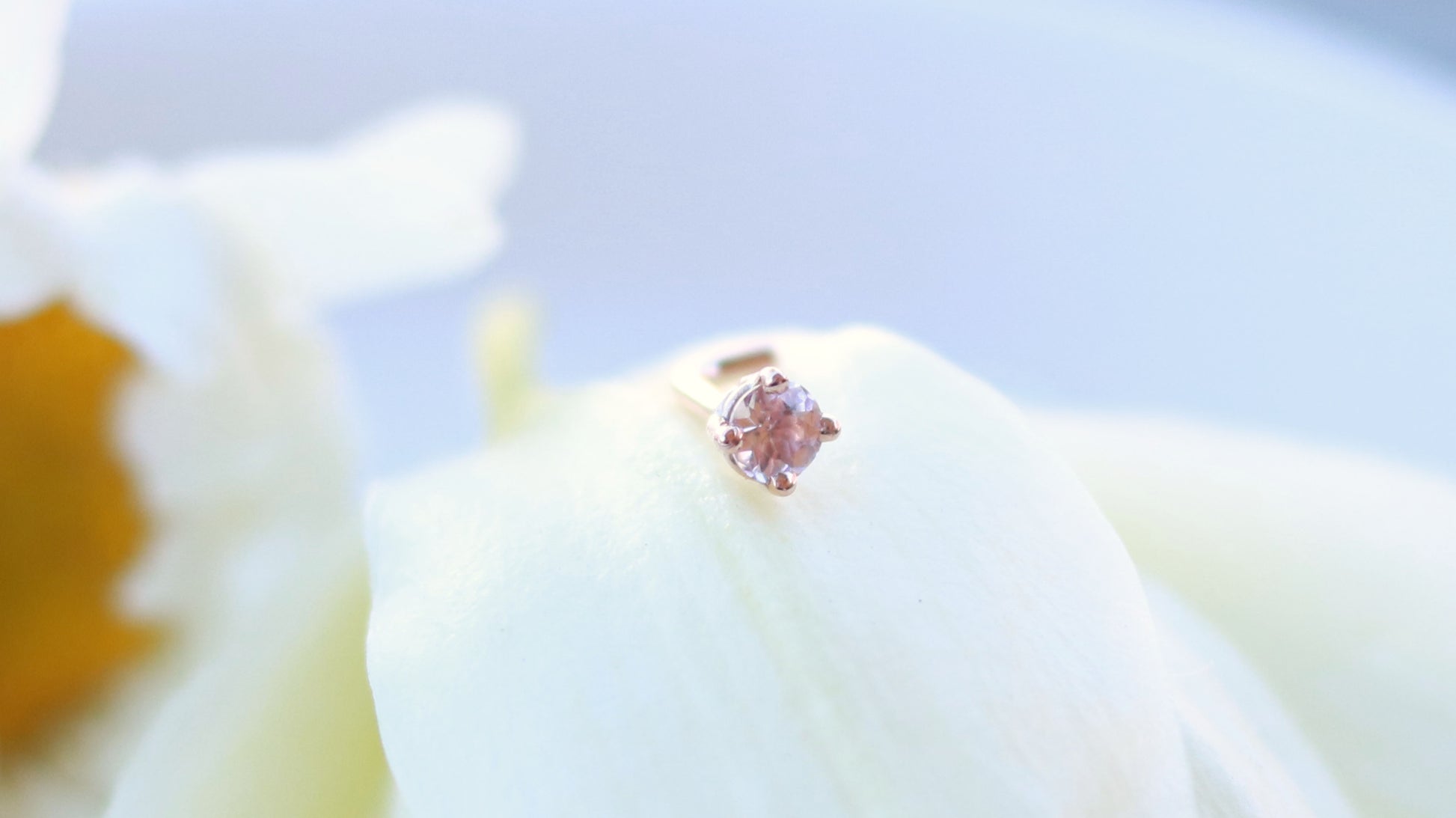 A 14k Rose gold nose stud with a round morganite, set in prongs.